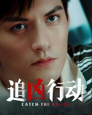 追凶行动封面图